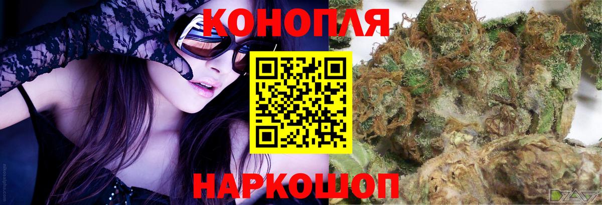 Конопля гибрид Семёнов